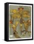Dragonfly and Friends 16-Maria Pietri Lalor-Framed Stretched Canvas