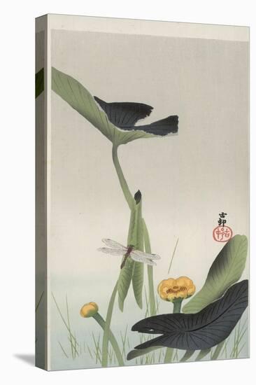 Dragonfly and Lotus-Ohara Koson-Stretched Canvas