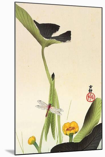 Dragonfly and Lotus-Koson Ohara-Mounted Giclee Print