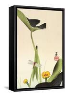 Dragonfly and Lotus-Koson Ohara-Framed Stretched Canvas