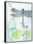 Dragonfly And The Healing Plant-Trudy Rice-Framed Stretched Canvas