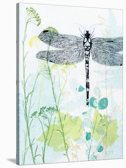 Dragonfly And The Healing Plant-Trudy Rice-Stretched Canvas