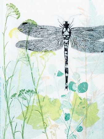 https://imgc.allpostersimages.com/img/posters/dragonfly-and-the-healing-plant_u-L-Q1JBSJZ0.jpg?artPerspective=n