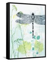 Dragonfly And The Healing Plant-Trudy Rice-Framed Stretched Canvas