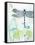 Dragonfly And The Healing Plant-Trudy Rice-Framed Stretched Canvas