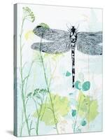 Dragonfly And The Healing Plant-Trudy Rice-Stretched Canvas