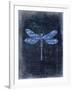 Dragonfly Blue 1-Kimberly Allen-Framed Art Print