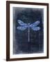 Dragonfly Blue 1-Kimberly Allen-Framed Art Print