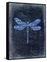 Dragonfly Blue 1-Kimberly Allen-Framed Stretched Canvas