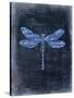 Dragonfly Blue 1-Kimberly Allen-Stretched Canvas