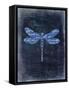 Dragonfly Blue 1-Kimberly Allen-Framed Stretched Canvas