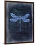 Dragonfly Blue 1-Kimberly Allen-Framed Art Print