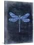 Dragonfly Blue 1-Kimberly Allen-Stretched Canvas