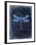 Dragonfly Blue 1-Kimberly Allen-Framed Art Print