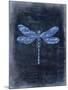 Dragonfly Blue 1-Kimberly Allen-Mounted Art Print