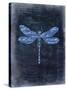Dragonfly Blue 1-Kimberly Allen-Stretched Canvas