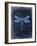 Dragonfly Blue 1-Kimberly Allen-Framed Art Print