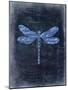 Dragonfly Blue 1-Kimberly Allen-Mounted Art Print