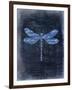 Dragonfly Blue 1-Kimberly Allen-Framed Art Print