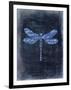 Dragonfly Blue 1-Kimberly Allen-Framed Art Print