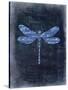 Dragonfly Blue 1-Kimberly Allen-Stretched Canvas