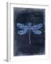 Dragonfly Blue 2-Kimberly Allen-Framed Art Print