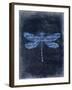 Dragonfly Blue 2-Kimberly Allen-Framed Art Print