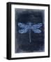 Dragonfly Blue 2-Kimberly Allen-Framed Art Print