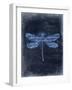 Dragonfly Blue 2-Kimberly Allen-Framed Art Print