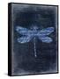 Dragonfly Blue 2-Kimberly Allen-Framed Stretched Canvas