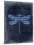 Dragonfly Blue 2-Kimberly Allen-Stretched Canvas