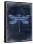 Dragonfly Blue 2-Kimberly Allen-Framed Stretched Canvas