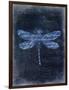 Dragonfly Blue 2-Kimberly Allen-Framed Art Print