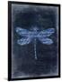 Dragonfly Blue 2-Kimberly Allen-Framed Art Print