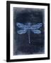 Dragonfly Blue 2-Kimberly Allen-Framed Art Print