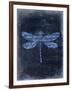 Dragonfly Blue 2-Kimberly Allen-Framed Art Print