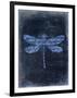 Dragonfly Blue 2-Kimberly Allen-Framed Art Print