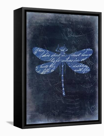Dragonfly Blue 2-Kimberly Allen-Framed Stretched Canvas