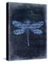 Dragonfly Blue 2-Kimberly Allen-Stretched Canvas