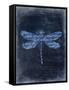 Dragonfly Blue 2-Kimberly Allen-Framed Stretched Canvas