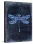 Dragonfly Blue 2-Kimberly Allen-Stretched Canvas