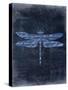 Dragonfly Blue 3-Kimberly Allen-Stretched Canvas