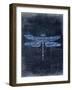 Dragonfly Blue 3-Kimberly Allen-Framed Art Print