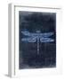 Dragonfly Blue 3-Kimberly Allen-Framed Art Print