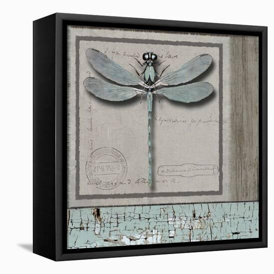 Dragonfly Blue-Karen Williams-Framed Stretched Canvas