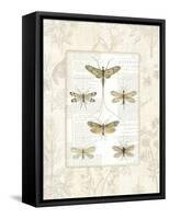 Dragonfly Botanical-Sue Schlabach-Framed Stretched Canvas