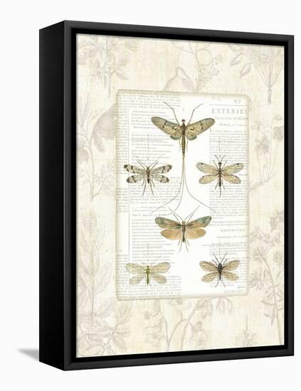 Dragonfly Botanical-Sue Schlabach-Framed Stretched Canvas