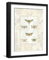 Dragonfly Botanical-Sue Schlabach-Framed Art Print