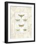 Dragonfly Botanical-Sue Schlabach-Framed Art Print