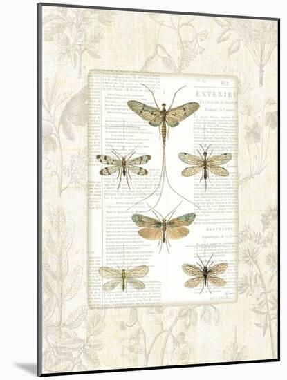 Dragonfly Botanical-Sue Schlabach-Mounted Art Print